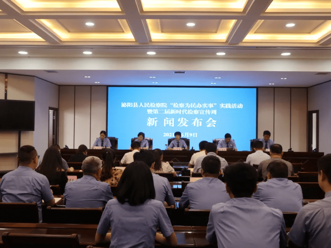泌陽新聞最新動態(tài)，多元視角下的觀察與思考