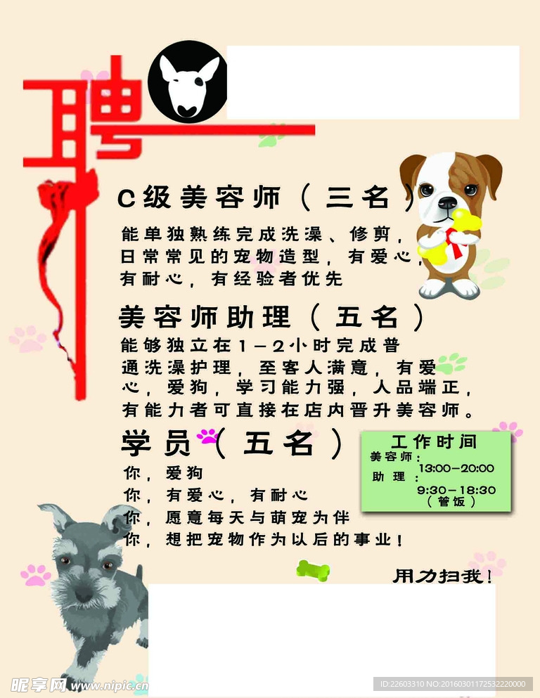 寵物店招聘最新動態(tài)，共探自然之美，尋求內(nèi)心寧靜