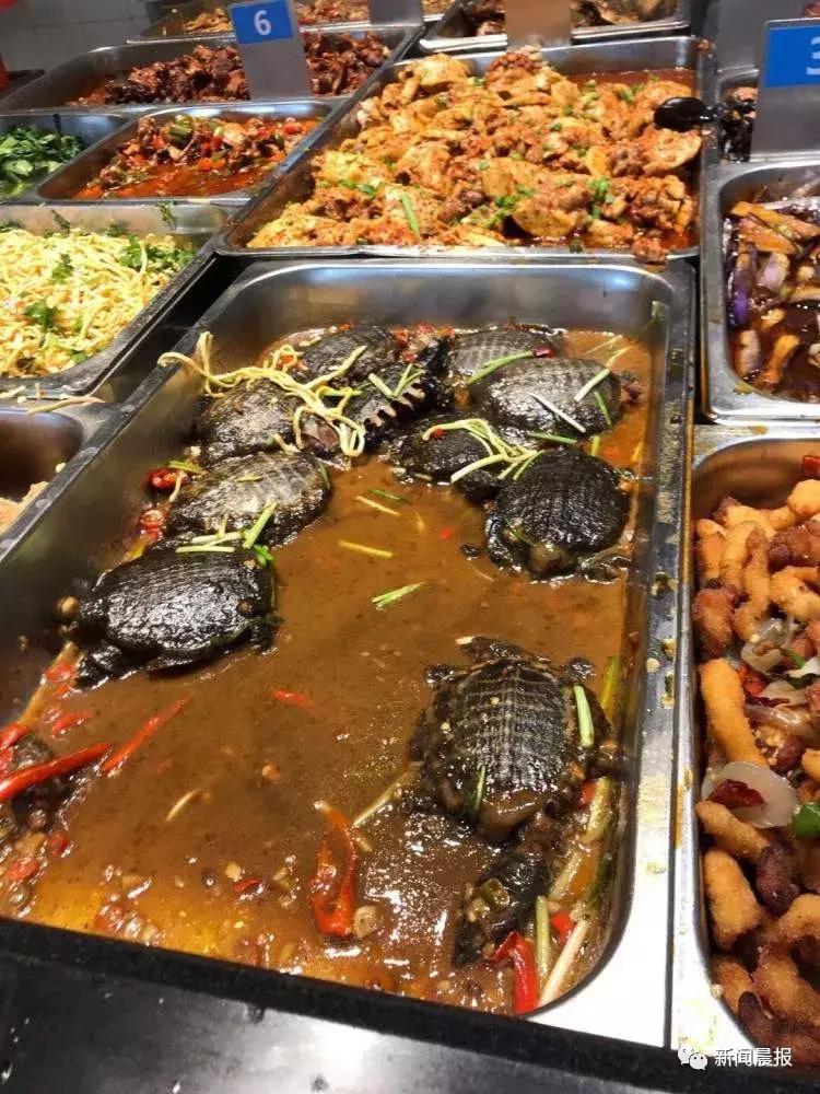 探索食堂美食新潮流，最新食堂菜一覽
