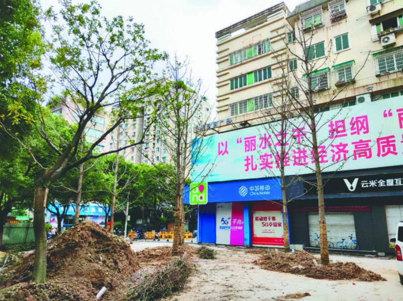 最新吊車網(wǎng)，自然美景之旅與內(nèi)心平靜的探尋