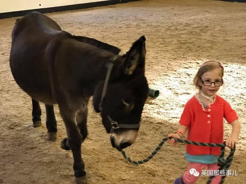 二驢子最新事件揭秘，事件全貌大揭秘！
