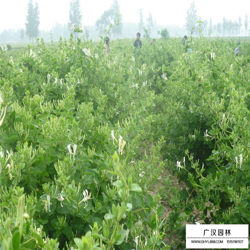 第782頁