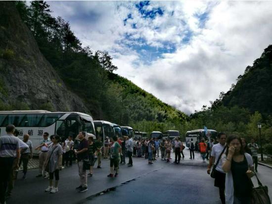 泰順高鐵最新動(dòng)態(tài)更新，最新消息一覽