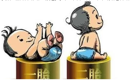 最新雙胞胎補(bǔ)助政策，攜手同行，助力孕育夢(mèng)想之路