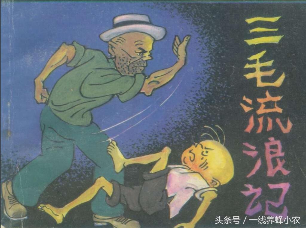 上海三毛最新動態(tài)，自然美景探索之旅啟幕