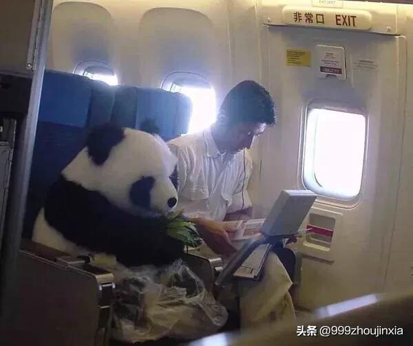 追逐變化之翼，學(xué)習(xí)鑄就自信與成就——虛幻最新探討