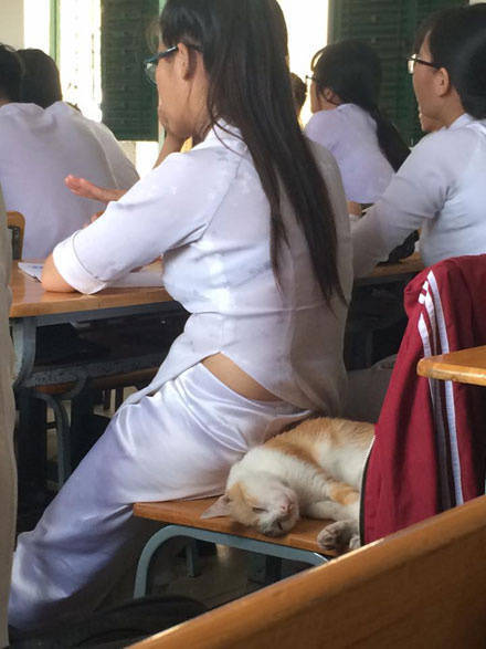 燈飾燈具 第102頁