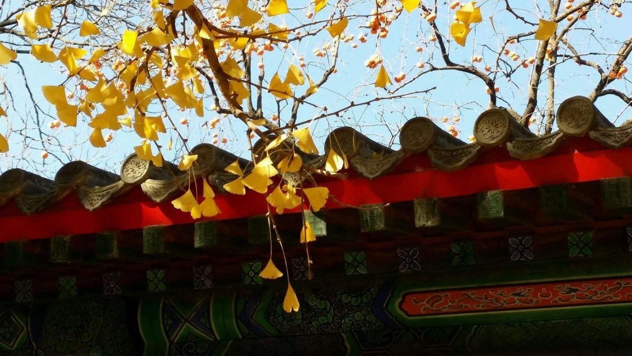 LED光源 第85頁(yè)