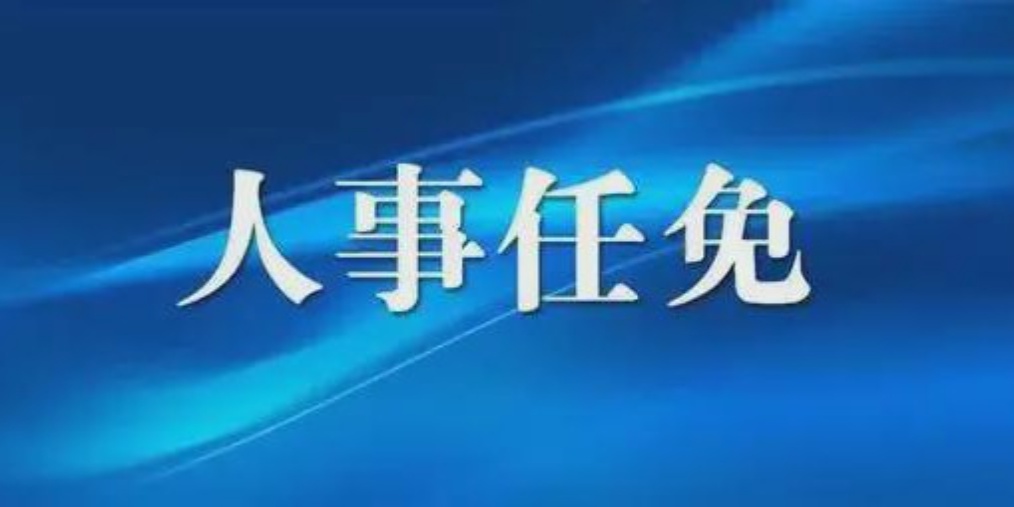 成都人事任免背后的故事，小巷獨特風(fēng)味小店與城市的脈動