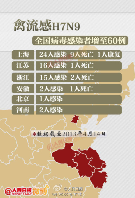 山東禽流感最新動態(tài)，友情與陪伴的溫馨故事