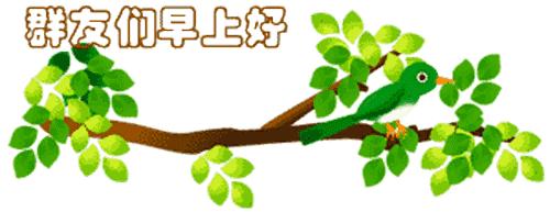 最新清晨祝福短信，晨曦中的溫暖問(wèn)候，傳遞美好祝愿與關(guān)懷
