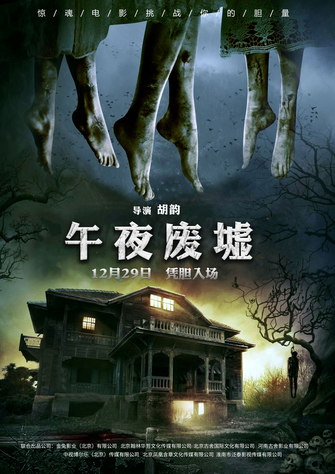 午夜熱門(mén)電影探索，魅力時(shí)刻的探險(xiǎn)之旅