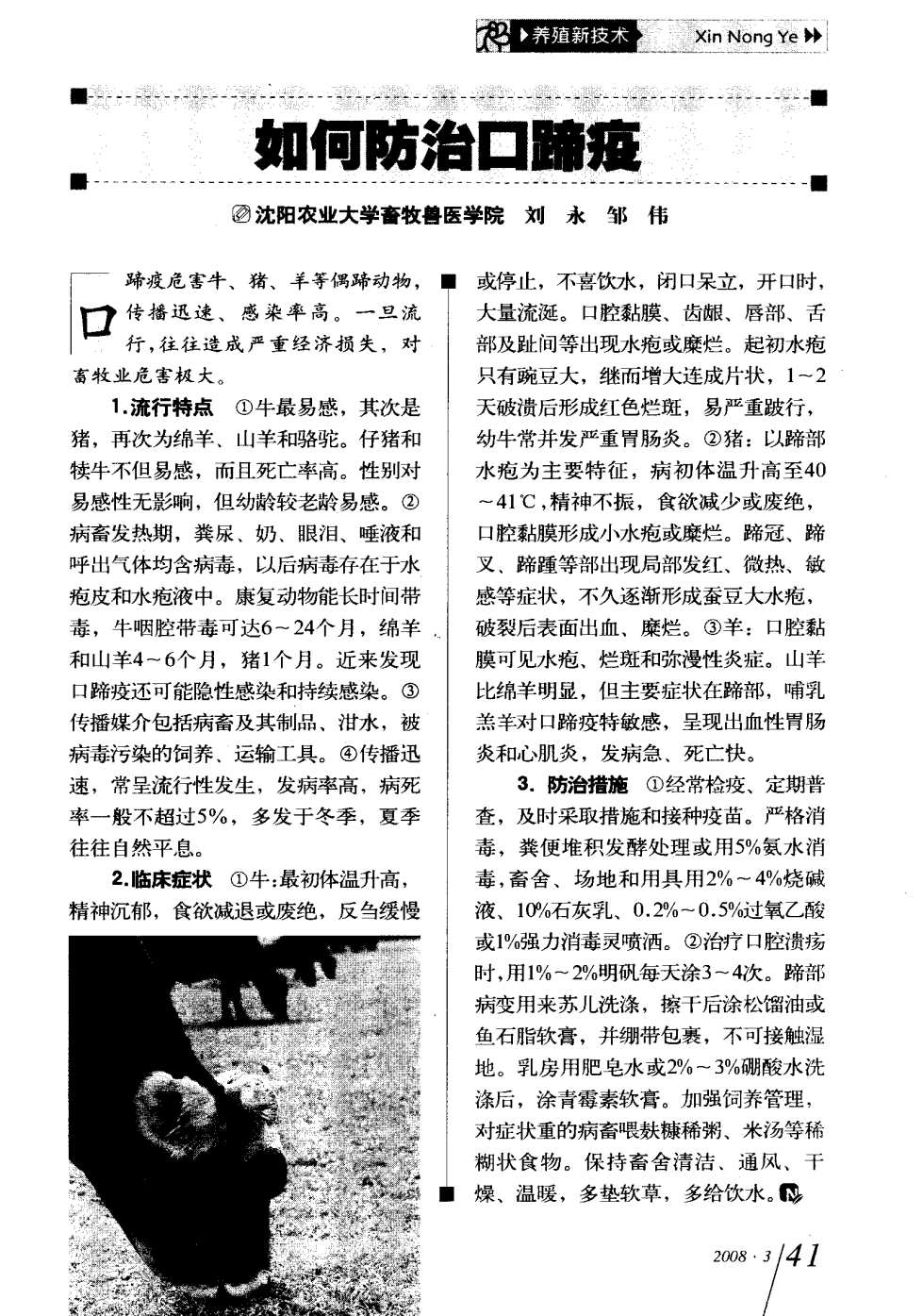 口蹄疫最新科研，自然探險(xiǎn)與內(nèi)心平和的追尋之旅