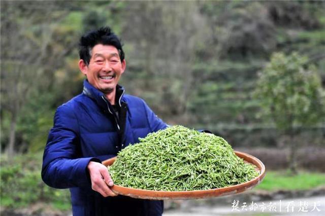 最新夷陵新聞，探索自然美景的旅程，尋覓內(nèi)心平和之地