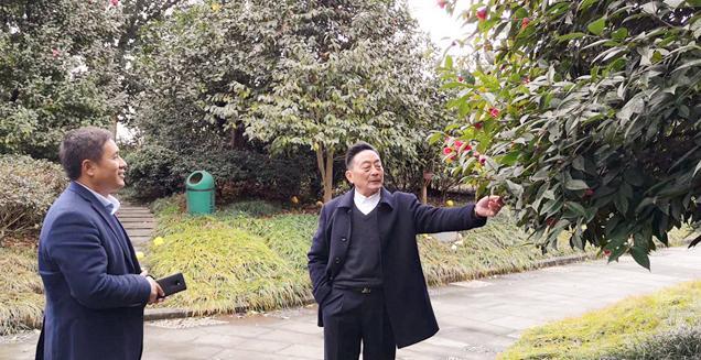 最新花木求購，開啟一場尋綠之旅的溫馨旅程