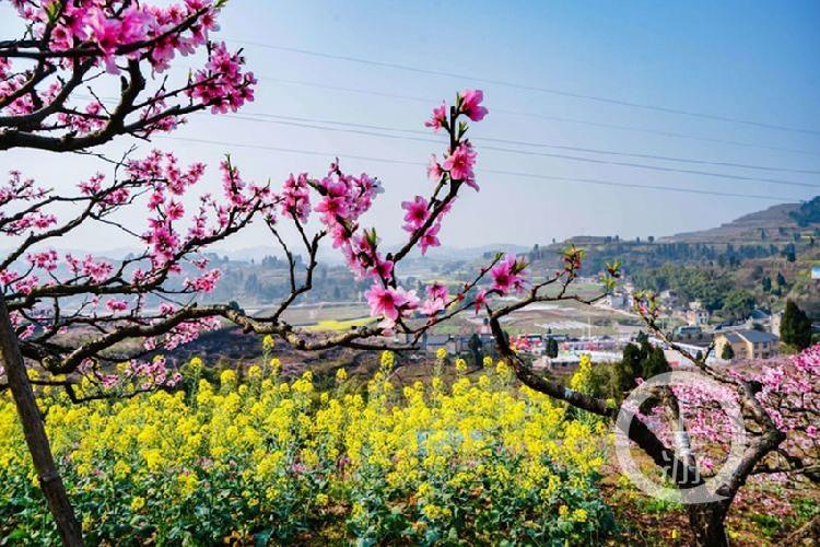 合川最新科技新聞，高科技產(chǎn)品引領(lǐng)未來生活潮流