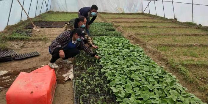 策勒最新招聘啟航人才新篇章，學(xué)習(xí)變化，擁抱自信與成就，啟程人生新征程！
