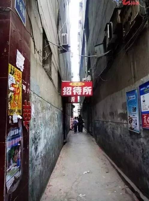 蘇州之旅探秘，尋找內(nèi)心的寧靜與自然的微笑——揭秘蘇州的夜生活現(xiàn)象