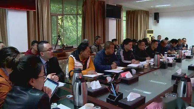 德昌最新新聞，擁抱自然，心靈寧靜之旅啟程