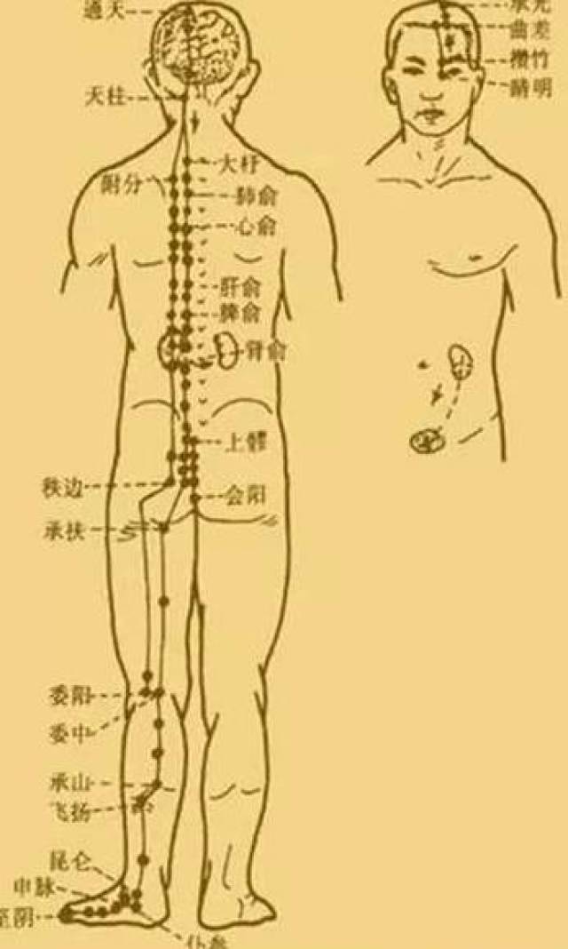 最新經(jīng)絡(luò)操，探索古老奧秘，重塑健康身姿