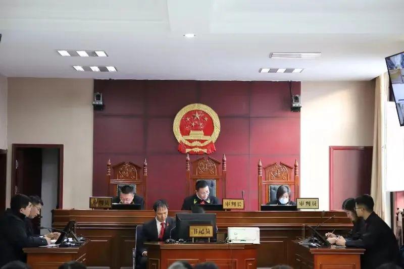 偏關(guān)最新案件深度解析，揭示真相，關(guān)注社會(huì)公正與公平