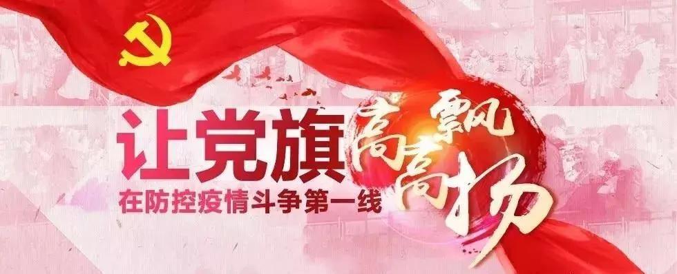 全球抗擊新冠疫情最新進展與案例分析，最新疫情快訊綜述