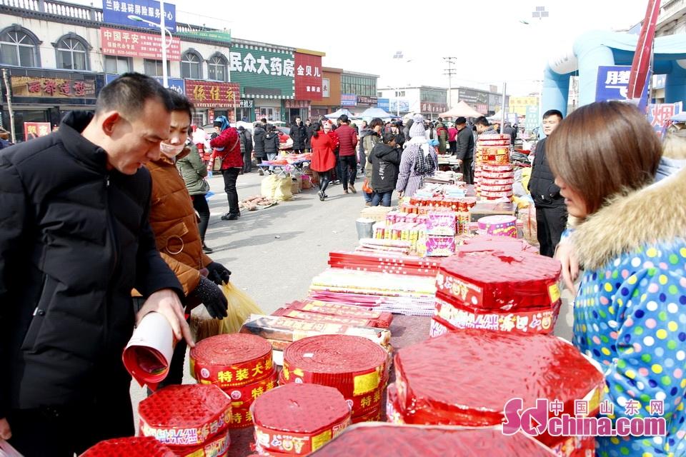 淘元素最新，淘淘的奇妙冒險(xiǎn)之旅與友情的溫暖體驗(yàn)