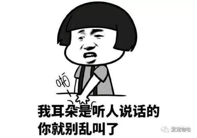最新枕邊笑話，科技小寶貝，生活添樂趣