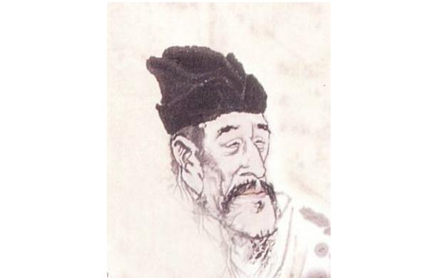 最新孤雁圖片，展現(xiàn)自然之美與深意的瞬間