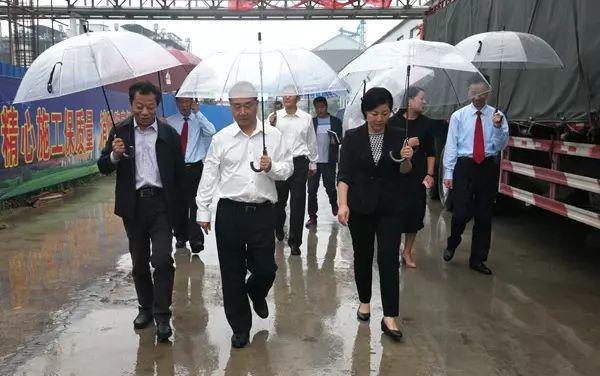 最新金丹科技引領(lǐng)科技新潮流，開啟未來之門！