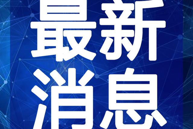 最新半仙視頻深度解析與觀點闡述，揭秘內(nèi)容魅力與獨特之處