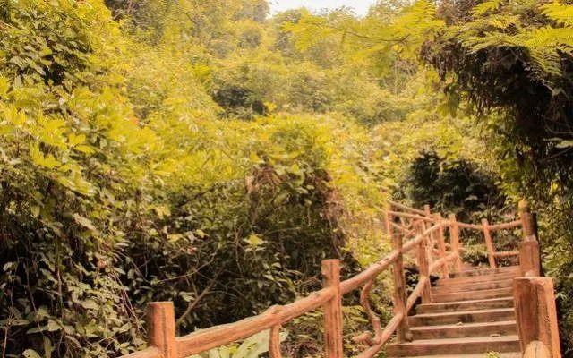 小99最新，科技、生活與娛樂的交融之地