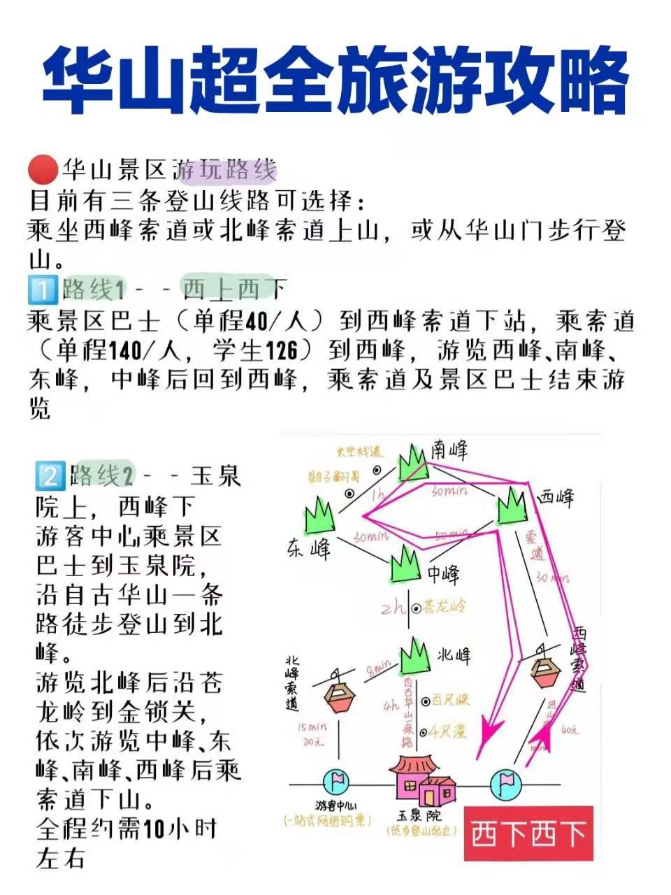 華山旅游最新探秘，小巷中的獨特風味之旅