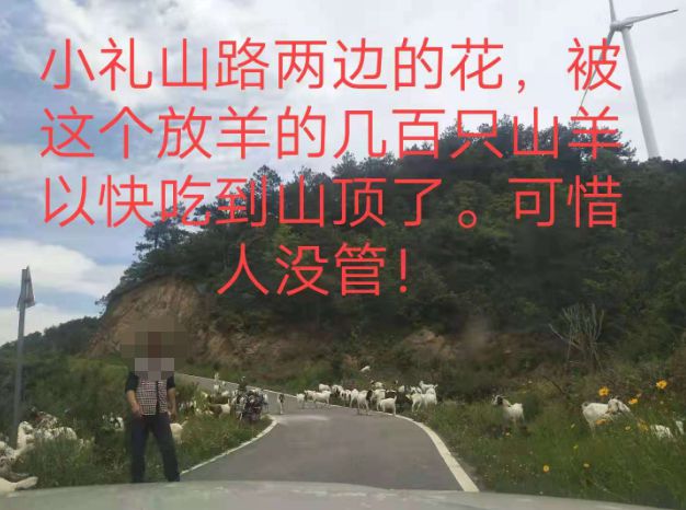 大悟最新路，探索未知，自信成就夢想之旅的啟程
