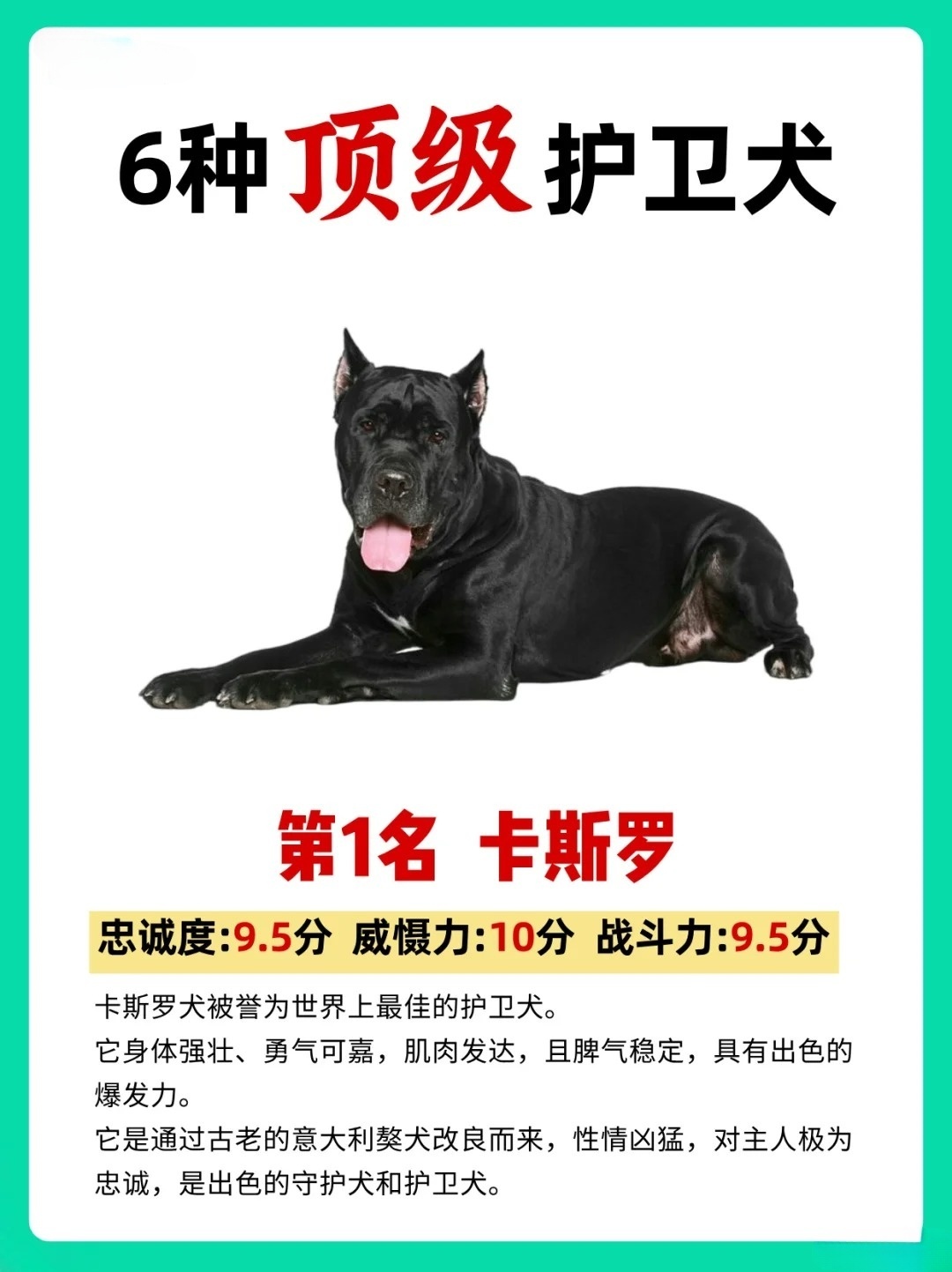 LED光源 第35頁
