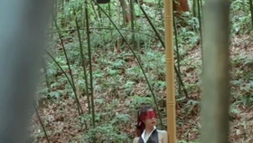 原野小年最新風(fēng)情，小巷深處的獨特魅力