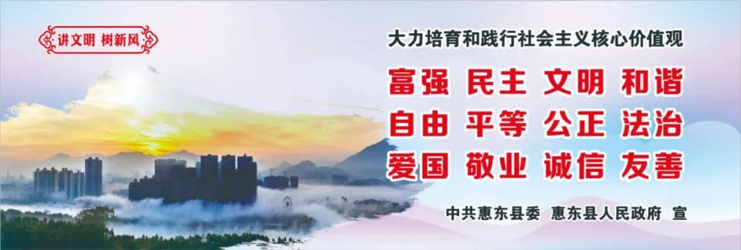惠州肺炎最新動態(tài)，小巷深處的獨特小店背后的故事