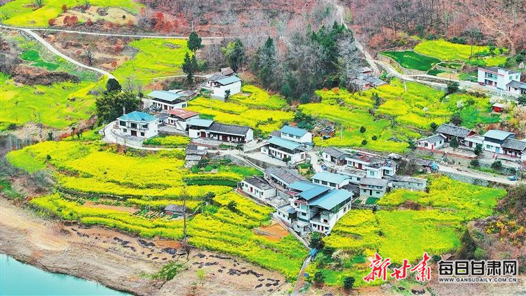 揭秘文縣，歷史背景、重大事件與時(shí)代地位全景展示