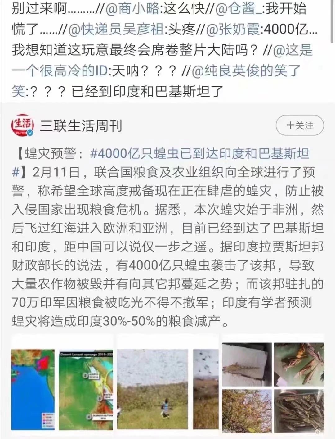 蝗蟲最新動(dòng)態(tài)，防治與監(jiān)測的全面指南