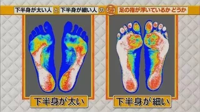 最新地趾論述，探索、爭(zhēng)議與觀點(diǎn)綜述