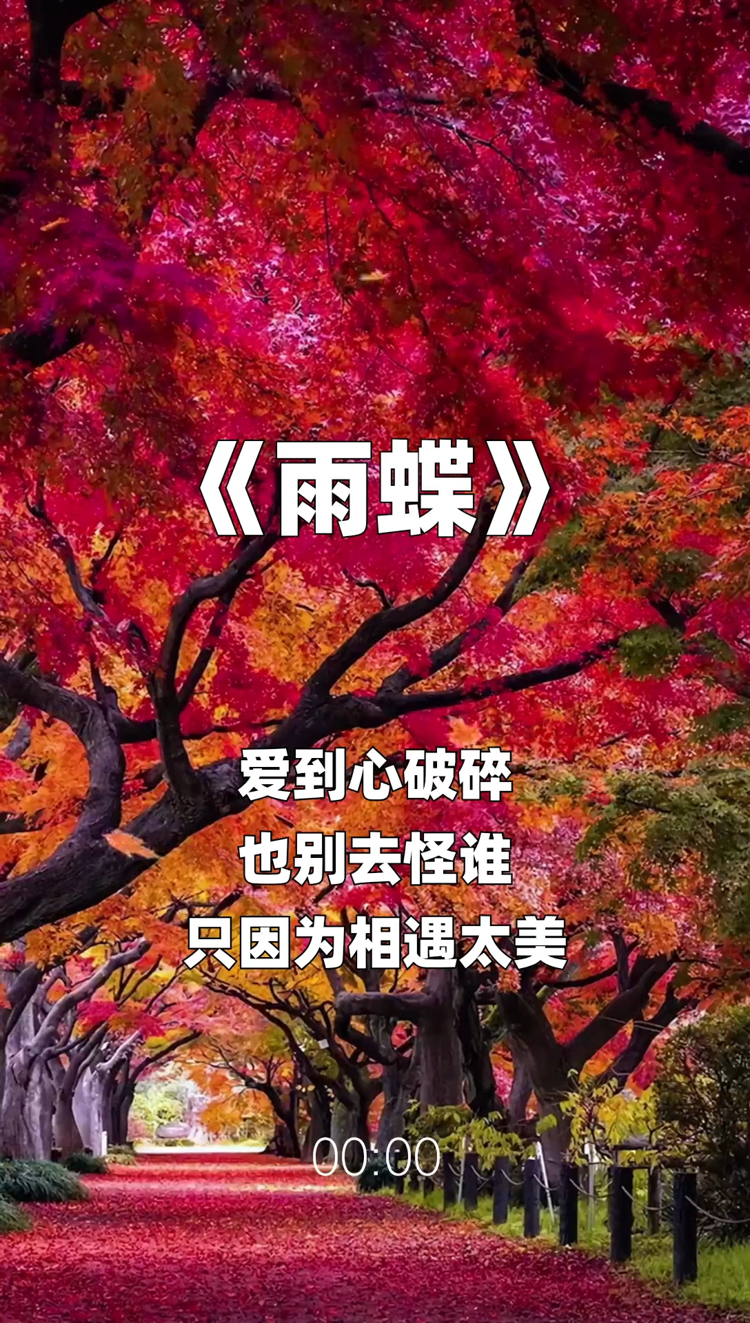 雨蝶最新步驟指南，如何完成任務或學習技能？