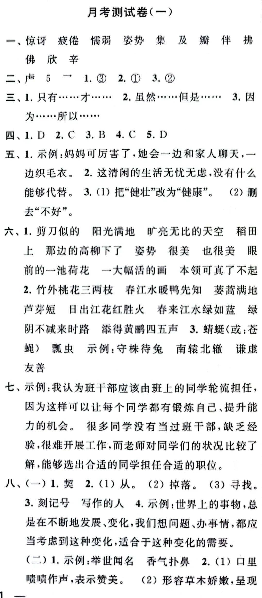 最新月考與大自然療愈之旅，尋找內心平靜的奇妙探險