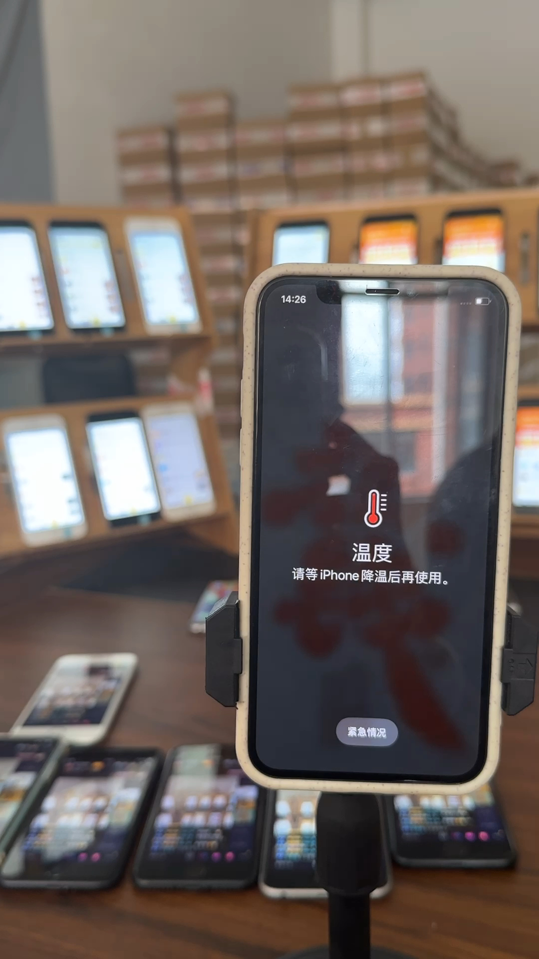 蘋果最新直播，科技與文化的完美融合盛宴