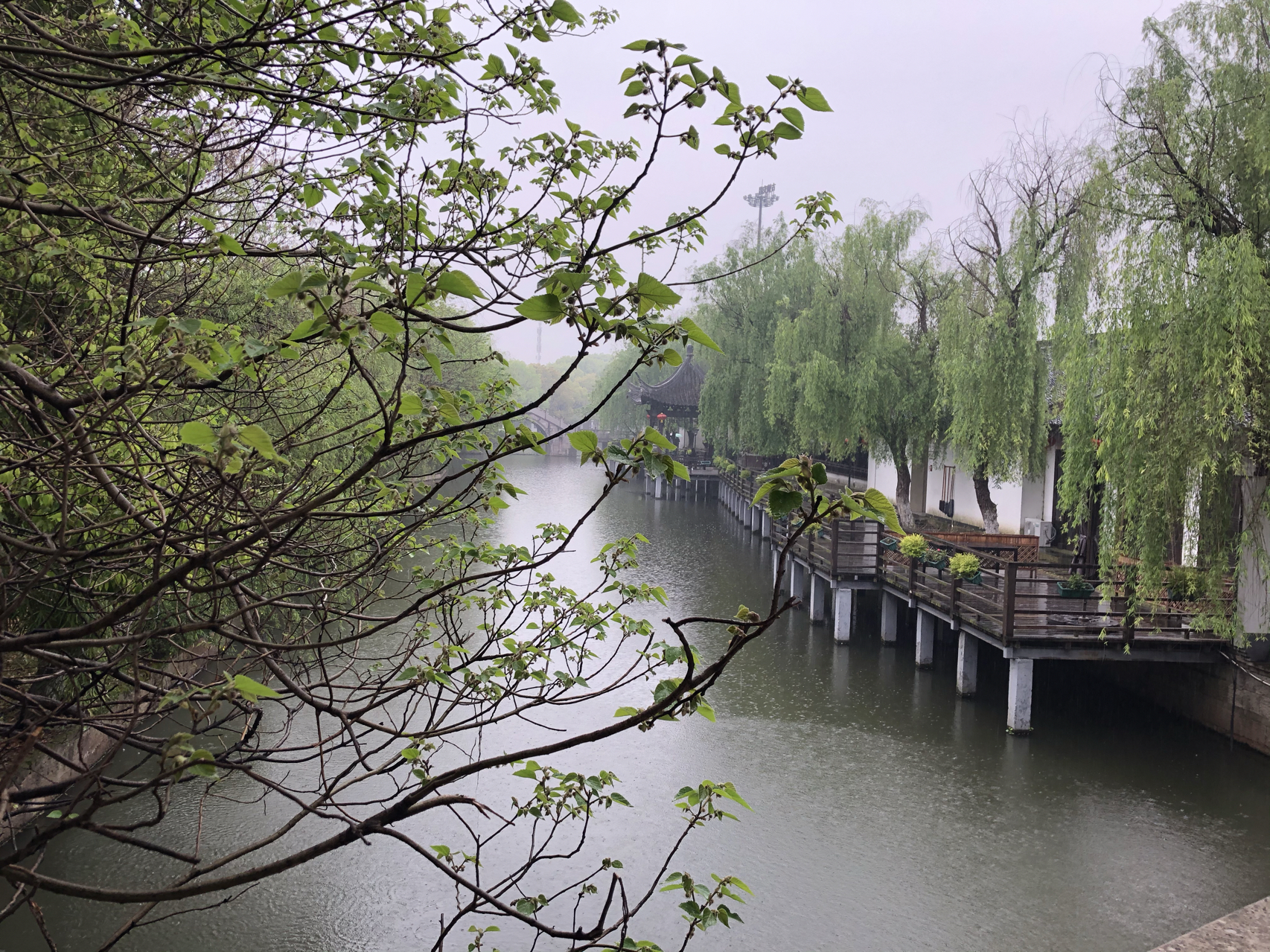 江南煙雨最新，自信與成就感的成長之旅