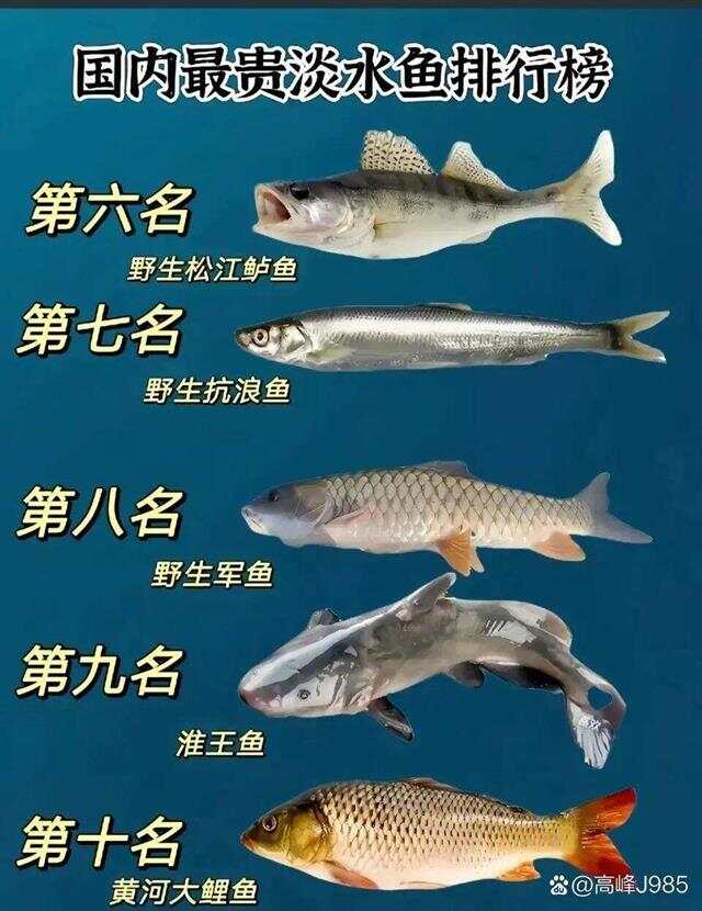工礦燈具 第22頁