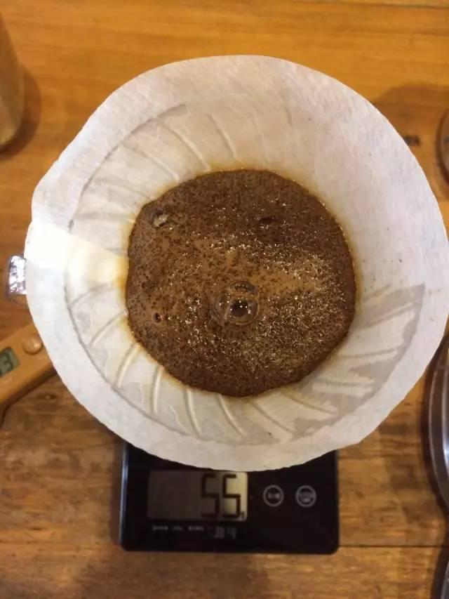 最新萃取法詳解，步驟指南與操作技巧