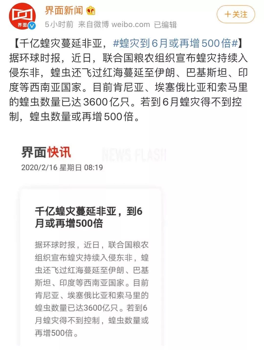 世界蝗災最新動態(tài)，探索自然美景的輕松之旅