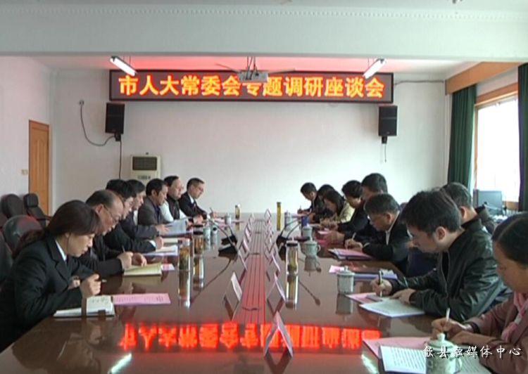 安徽歙縣最新動態(tài)，小巷深處的驚喜