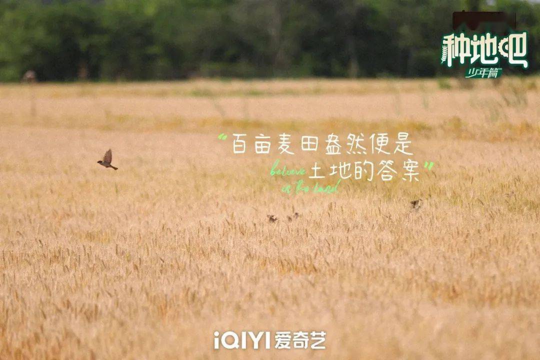 種地吧最新語錄，探索未來農(nóng)業(yè)的高科技魅力