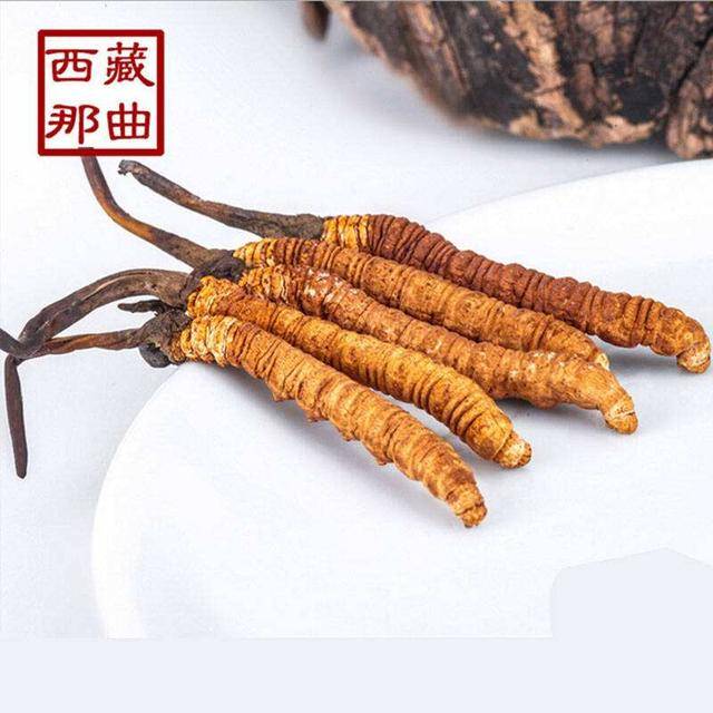 揭秘2025年蟲草最新價格，探尋小巷中的秘密行情！